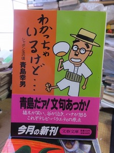 わかっちゃいるけど・・・　シャボン玉の頃　　　　　　　　　青島幸男