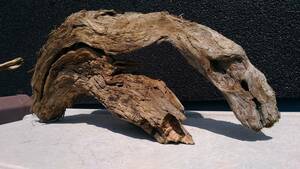  driftwood B75 47 centimeter 22 centimeter 12 centimeter 