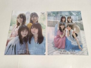 乃木坂46 4期生 Platinum FLASH Vol.16 付録クリアファイル 2枚セット／遠藤さくら 賀喜遥香 田村真佑