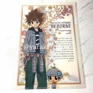  Katekyo Hitman REBORN Reborn * Mini прозрачный файл | Савада ..tsuna шесть дорога .