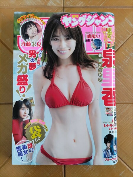 週刊ヤングジャンプ 2018年1月16日号・泉里香・斉藤朱夏・あいみ(袋とじ) 謎の美女降臨!