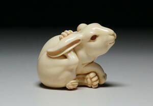 【心】k245 マンモス根付 　　白い兔　　　　