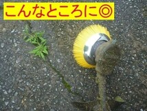 使用例・草除去前