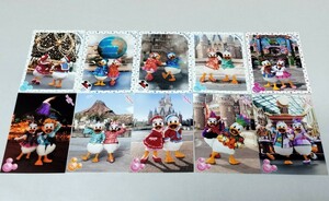 ドナルド デイジー スペフォ セット TDR TDS TDL 東京ディズニーランド シー 限定 実写 L版 公式 写真 スペシャルフォト 七夕 夏祭り たて