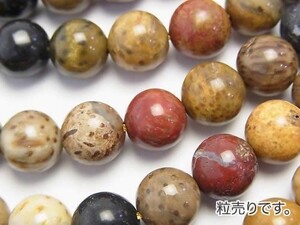 [粒売り]ココフォシル 丸玉10mm インドネシア産 1粒