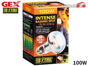 GEX sun glow tight beam bus King spot lamp 100W PT2138 reptiles amphibia supplies reptiles supplies jeksEXO TERRA