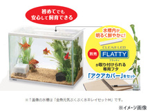 GEX 金魚元気 ぶくぶく水キレイセットS 熱帯魚 観賞魚用品 水槽 セット水槽 ジェックス_画像3