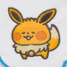 ポケモン フェイスタオル PokmonSmile ピカチュウ カビゴン メタモン カイリュー コダック ゲンガー イーブイ タオル PokemonSmile_画像3