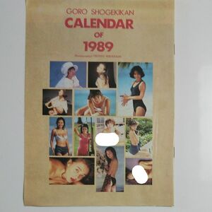 【当時もの】雑誌GORO付録1989年アイドルカレンダー 