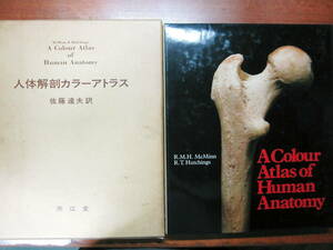 人体解剖カラーアトラス/日本語版■McMINN/HUTCHINGS■南江堂/1980年
