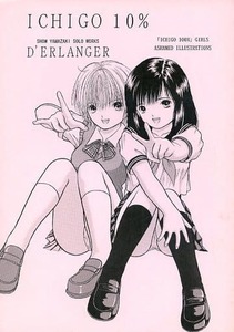 D'ERLANGER/夜魔咲翔同人誌 ICHIGO 10%