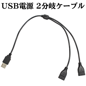 USB 電源 2分岐 ケーブル データ通信不可