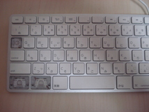 [送料無料 即決] Apple USB Keyboard A1243と Mighty Mouse A1152 のセット ジャンク_画像3