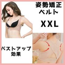 姿勢矯正 ベルト バストアップ XXL 肌色 背筋サポーター 猫背矯正 巻き肩_画像2