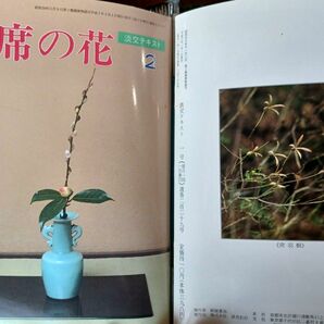 平成3年1月～12月 「茶席の花」裏千家茶道テキスト淡交社発行12ヶ月分ファイル 1冊