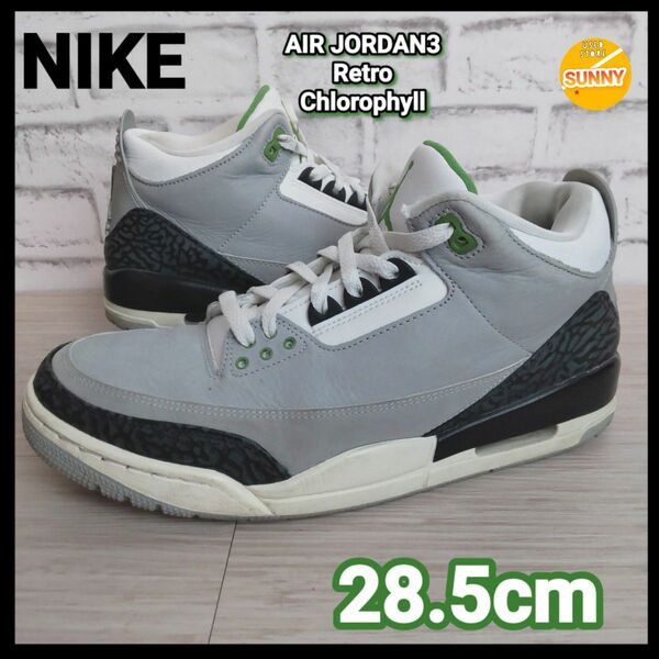 NIKE AIR JORDAN3 Retro Chlorophyll