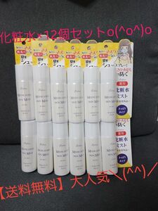 【送料無料】リシャン 薬用化粧水ミスト携帯サイズ（無香料40g×12個セット