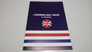 ▲　A MIDSUMMER NIGHT'S DREAM 2008舞台 パンフレット　♪美品　神田沙也加　山内圭哉　竹下宏太郎　※管理番号 pa1817