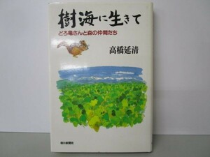 樹海に生きて―どろ亀さんと森の仲間たち no0507-ac4-nn236512