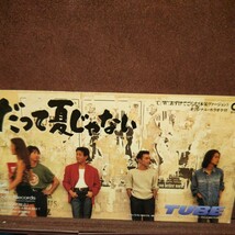 ★５★ TUBE のシングルCD 「だって夏じゃない」_画像1