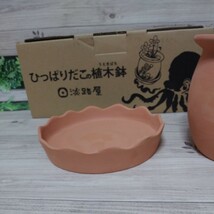 淡路屋　ひっぱりだこの植木鉢　素焼き鉢　　未使用　多肉植物　鉢植え　受け皿付き_画像3