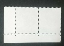 記念切手 第5回国際かんがい排水委員会総会記念 1963 2枚連 大蔵省銘板付き 未使用品 (ST-50)_画像2