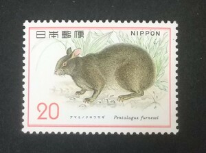  commemorative stamp nature protection series ama rumen black rabbit unused goods (ST-50)