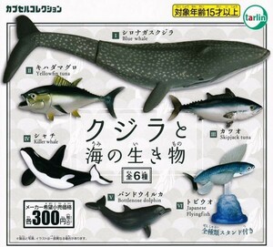 即決★ガチャ クジラと海の生き物 全6種セット