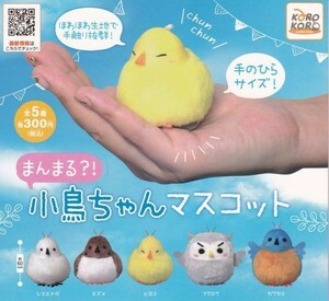 【値下げ価格】即決★ガチャ まんまる？！小鳥ちゃんマスコット 全5種セット