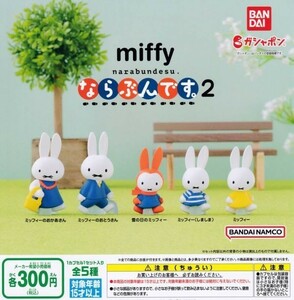  prompt decision *ga tea miffy Miffy if ....2 all 5 kind set 