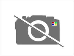 handle 3用の「SWITCH」のみ 2HX-83973-01 YF100M 3GB8 YAMAHA ATV 純正部品