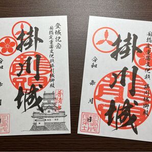 日本100名城 静岡県 掛川市 掛川城 御城印 2種 セット
