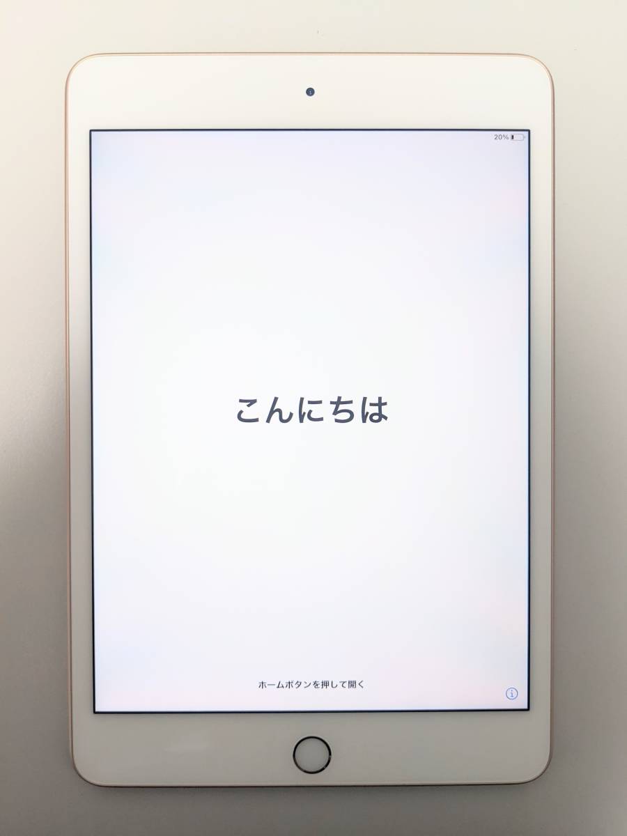 iPad mini 第5世代 Wi-Fi 256GB GOLD | JChere雅虎拍卖代购