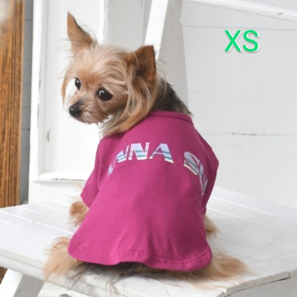 新品タグ付き ANNA SUI XS 犬 服 アナスイ ドッグウェア ロゴTシャツ 送料無料 ペット服 小型犬