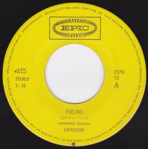 ■中古品■Capricorn カプリコーン/feeling + falling for that feeling(USED 7 INCH SINGLE)_画像3