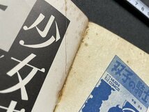 ｓ〇〇　難あり　昭和47年　月刊てづかマガジン れお別冊　リボンの騎士 第5巻　手塚治虫のけっさくまんがシリーズ NO.6　虫プロ　/　K36_画像7