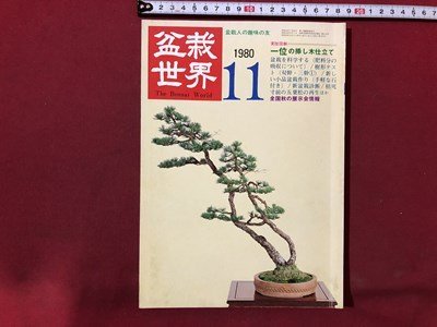 2025年最新】Yahoo!オークション -一位 盆栽の中古品・新品・未 2025年最新】Yahoo!オークション -一位 盆栽の中古品・新品・未