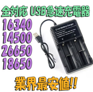 【業界最安値】16340,14500,18650等対応急速充電器!