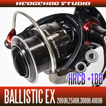 【ダイワ】BALLISTIC EX/バリスティックEX 2000H-4000H用 MAX9BB フルベアリングチューニングキット【HRCB防錆】/._画像1