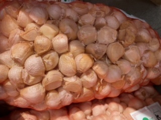 青森県バラにんにく20Kg L 早い者勝ち| JChere雅虎拍卖代购