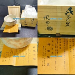 中古　萩焼　萩焼窯元　梅田陶楽　抹茶茶碗　茶碗　陶器　坂 高麗左衛門師事