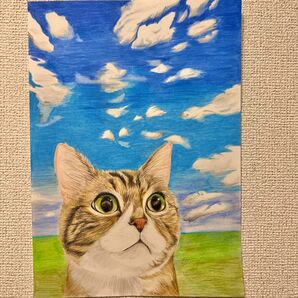 猫　色鉛筆画　イラスト