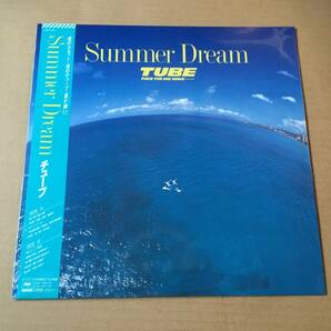 TUBE/チューブ◎未開封◎LPレコード「Summer Dream/サマー・ドリーム」◎前田亘輝の画像1