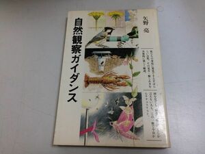 ●P119●自然観察ガイダンス●矢野亮●筑摩書房●1983年初版1刷●自然動物植物見方親しみ方解説●即決