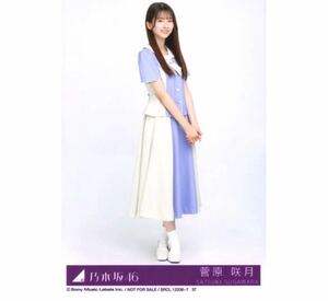 【F26】乃木坂46 公式グッズ 生写真 1枚　菅原咲月　ヒキ　CD封入特典　ここにはないもの TYPE-D