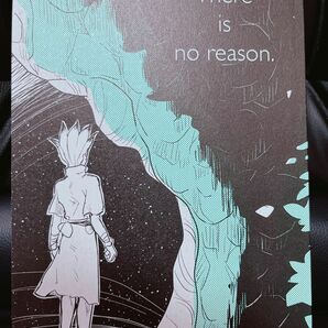 Dr.STONE 同人誌 There is no reason 千空×ゲン 千ゲ