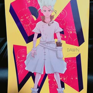 Dr.STONE 同人誌 DAWN オールキャラ