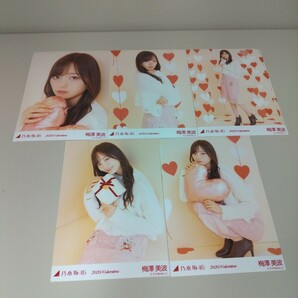 乃木坂46 梅澤美波 2020 Valentine バレンタイン 個別生写真 5枚セット N2806の画像1