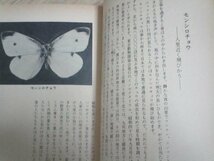 昭和49年■愛媛の蝶　井出秀信/愛媛新聞社　在郷の蝶研究家（個人誌古蝶記発行者）県産70種と玉に迷い込む1種を加えた71種を解説　_画像6