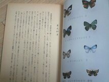 昭和49年■愛媛の蝶　井出秀信/愛媛新聞社　在郷の蝶研究家（個人誌古蝶記発行者）県産70種と玉に迷い込む1種を加えた71種を解説　_画像4